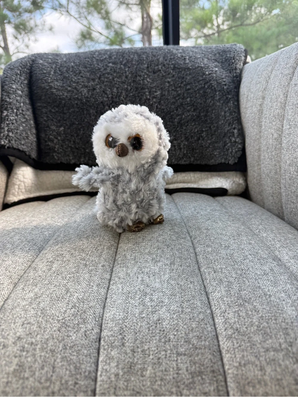 Plush Grey Owl Small Pet Toy - Soft Stuffed Companion